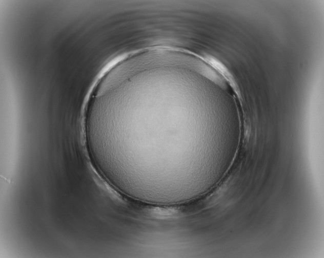 X0000086741384200704271642