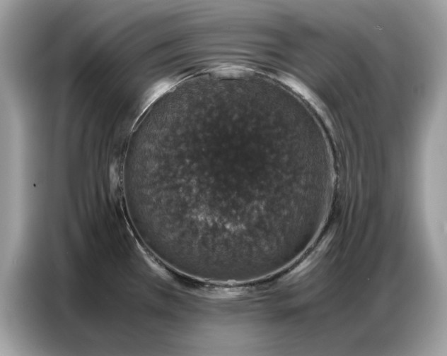 X0000086741385200704271642