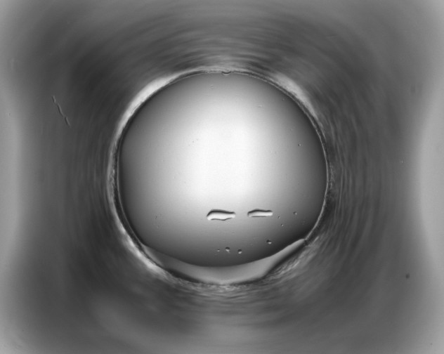 X0000086741387200704271642