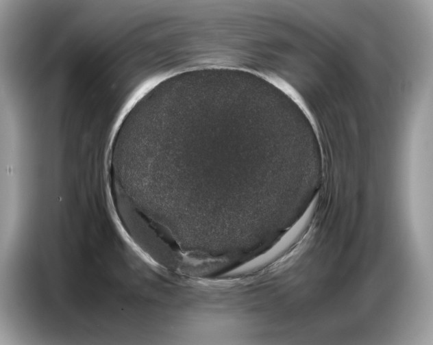 X0000086741389200704271642