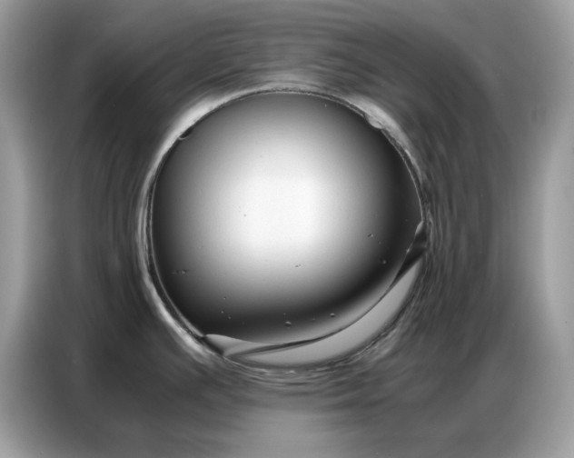 X0000086741391200704271642