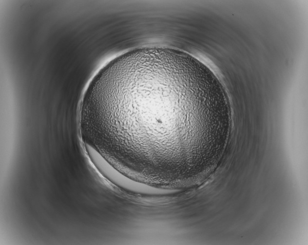 X0000086741392200704271642