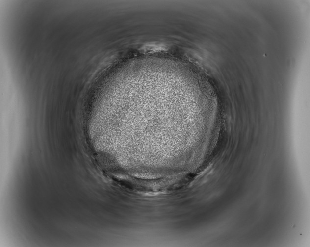 X0000086741393200704271641