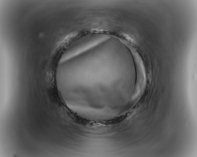 X0000086741398200704271641