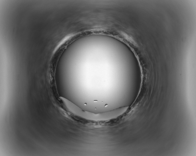 X0000086741400200704271641