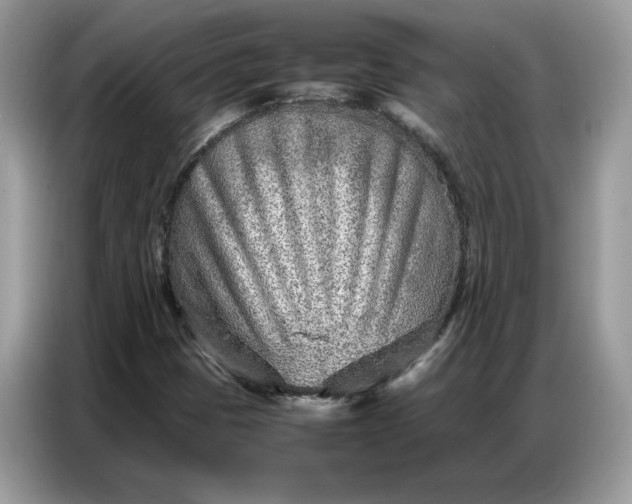 X0000086741401200704271641