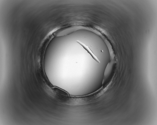 X0000086741402200704271641