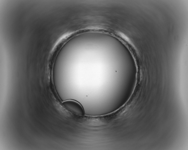 X0000086741408200704271641