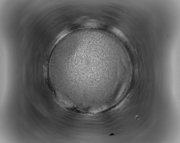 X0000086741409200704271641