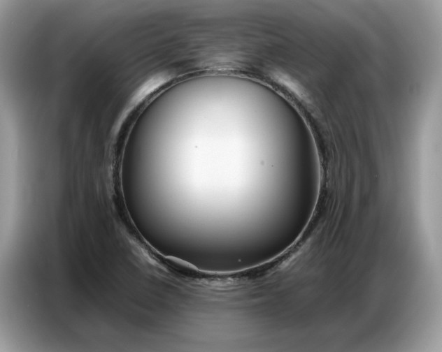 X0000086741410200704271641