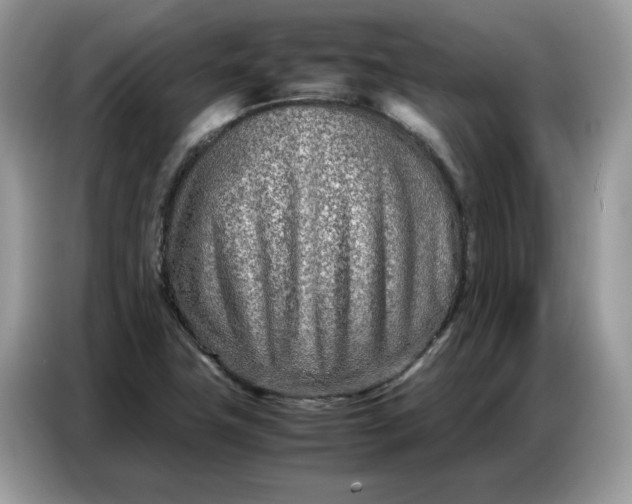 X0000086741411200704271641