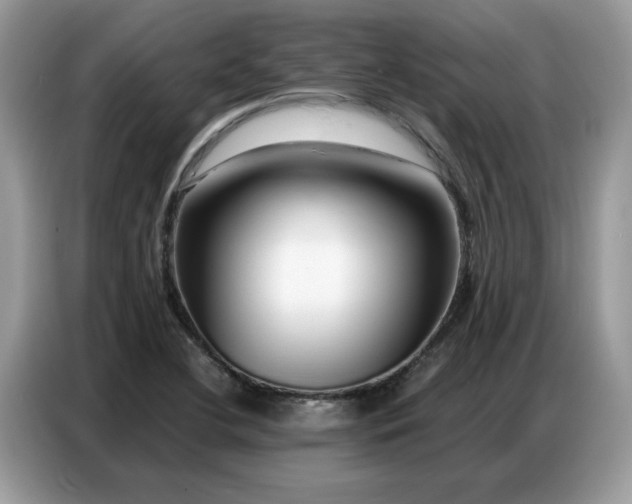 X0000086741412200704271641