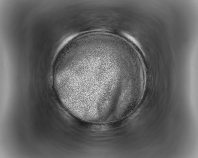 X0000086741415200704271641