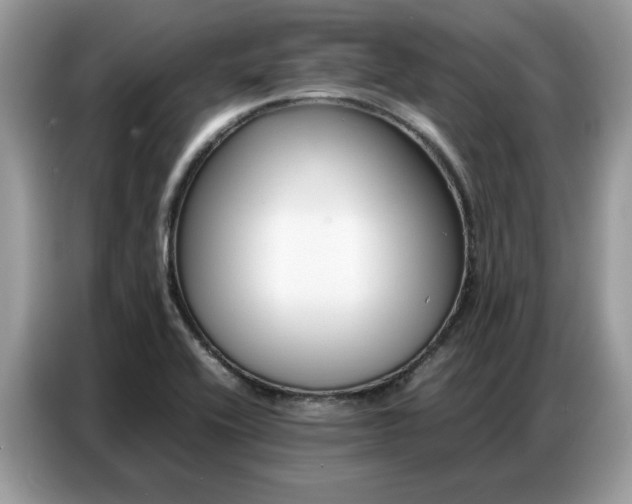 X0000086741416200704271641