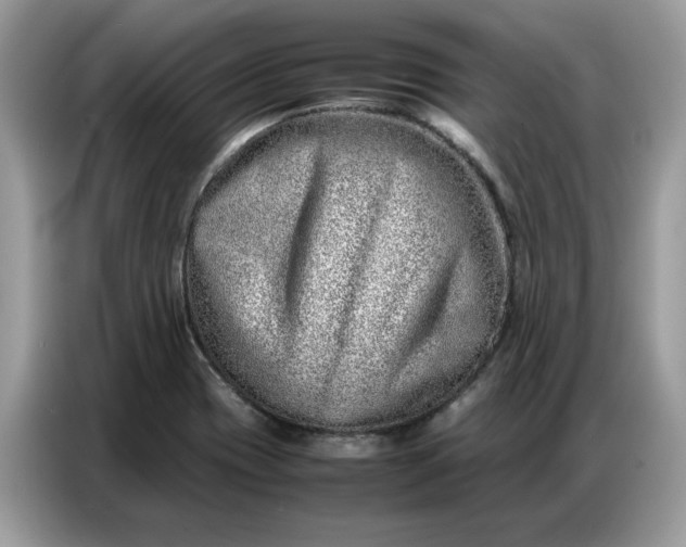 X0000086741417200704271641