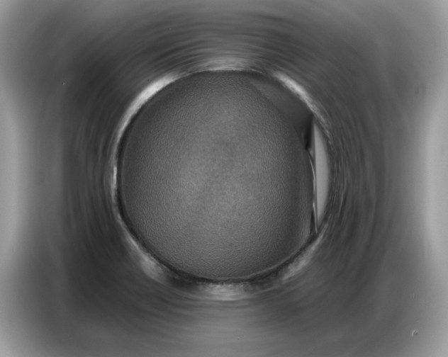 X0000086741418200704271641