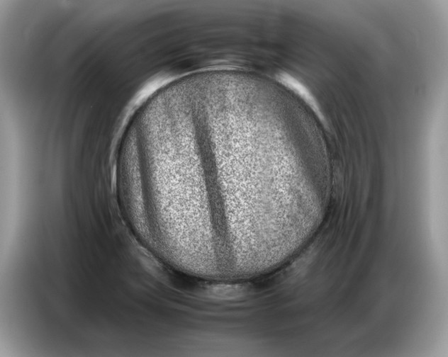 X0000086741419200704271641