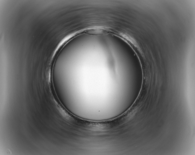 X0000086741420200704271641