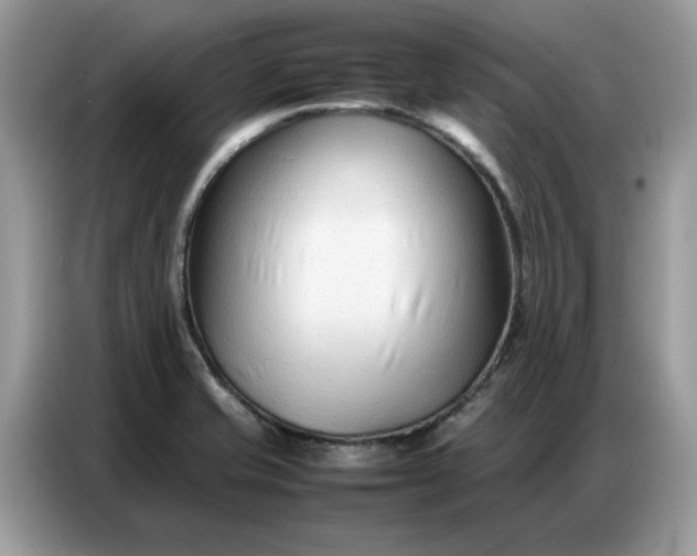 X0000086741421200704271641