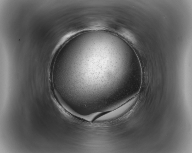 X0000086741422200704271641