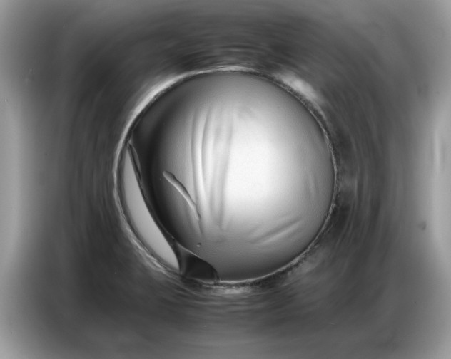 X0000086741423200704271641