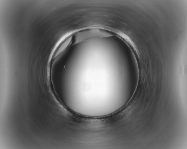 X0000086741424200704271641