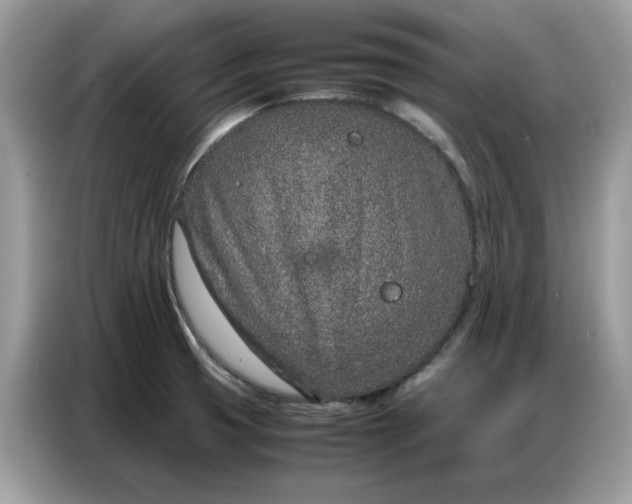 X0000086741425200704271641