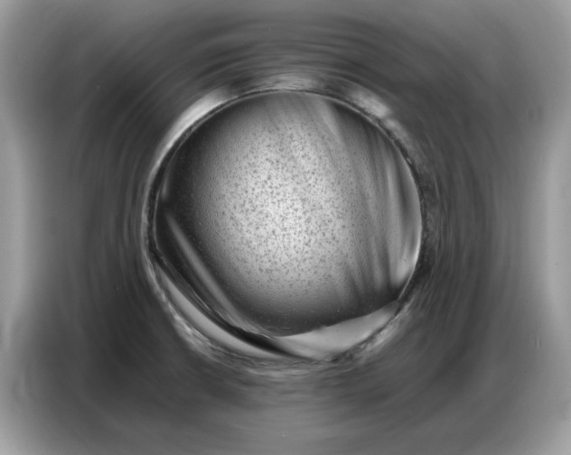 X0000086741426200704271641