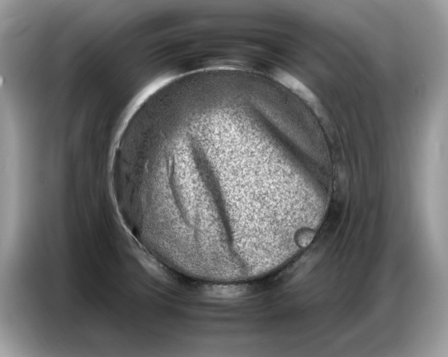 X0000086741427200704271641