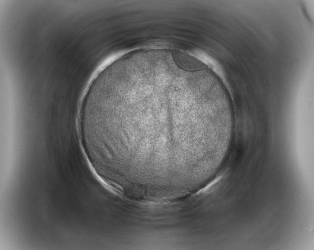 X0000086741429200704271641