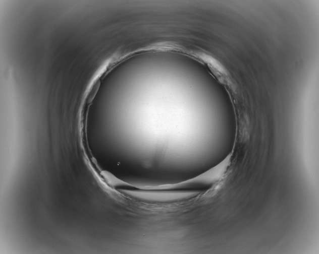 X0000086741430200704271641