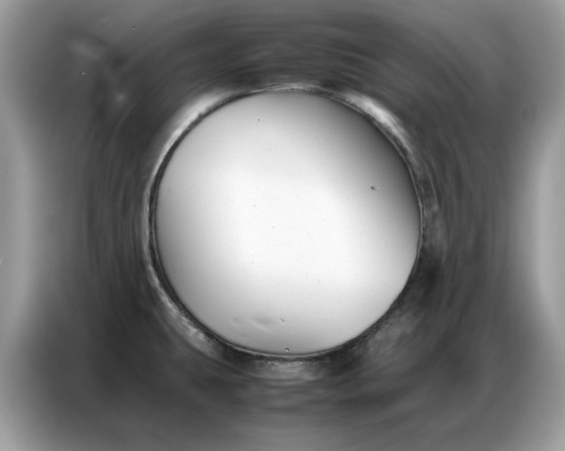 X0000086741431200704271641