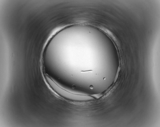 X0000086741432200704271641