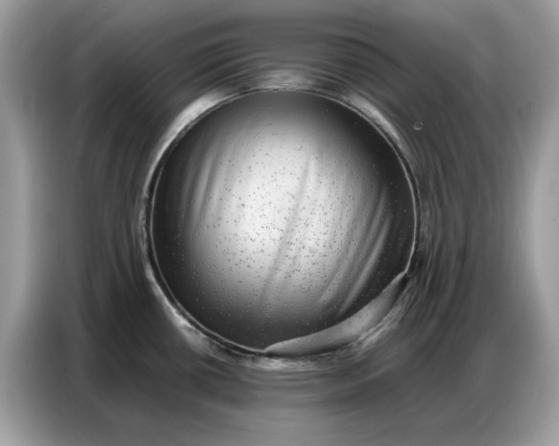 X0000086741434200704271641