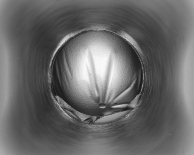 X0000086741436200704271641