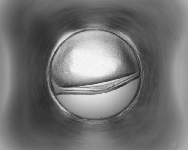 X0000086741440200704271642