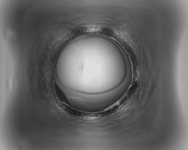 X0000086741441200704271641