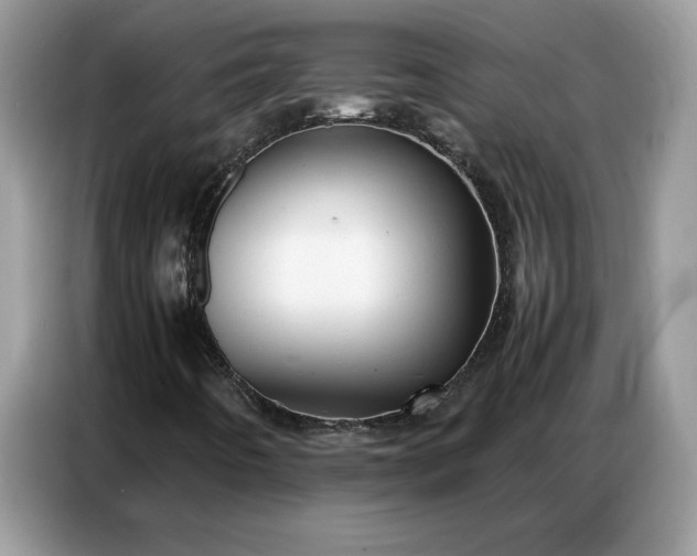 X0000086741442200704271641