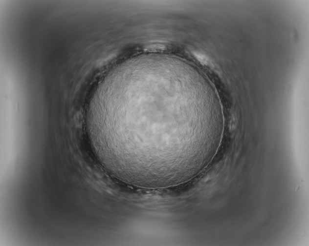 X0000086741445200704271641