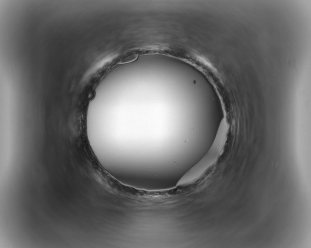 X0000086741448200704271641