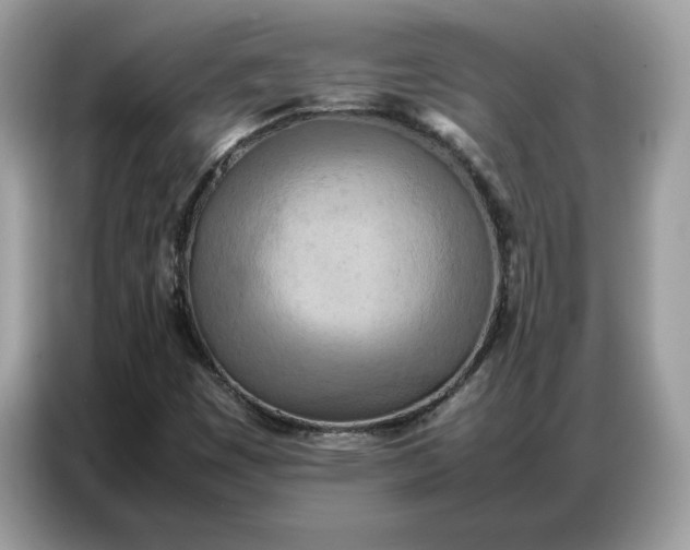 X0000086741449200704271641