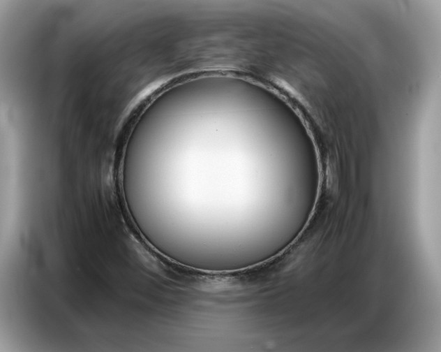 X0000086741452200704271641