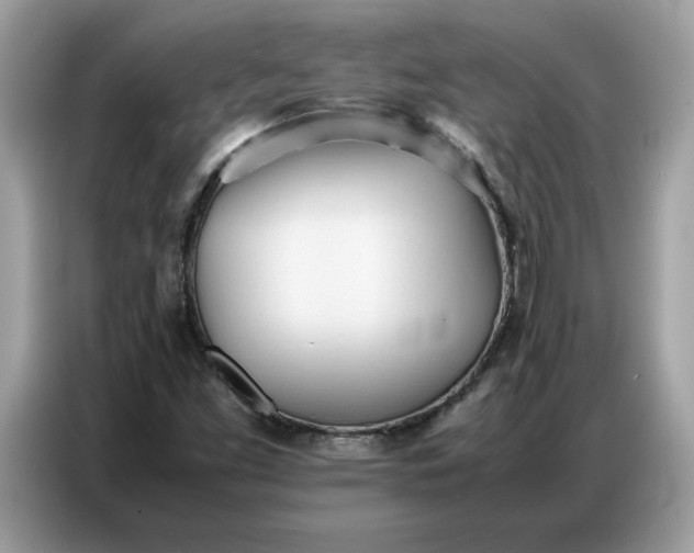 X0000086741453200704271641