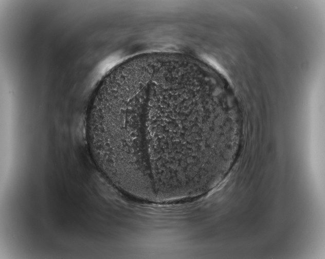 X0000086741455200704271641