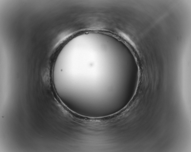 X0000086741456200704271641