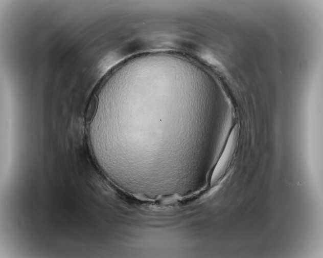 X0000086741457200704271641