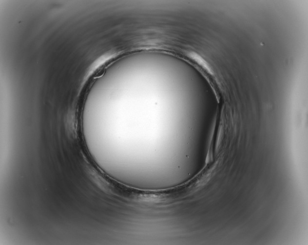 X0000086741458200704271641