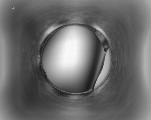 X0000086741461200704271641