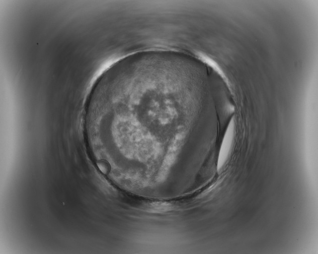 X0000086741463200704271641