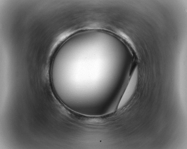 X0000086741464200704271641